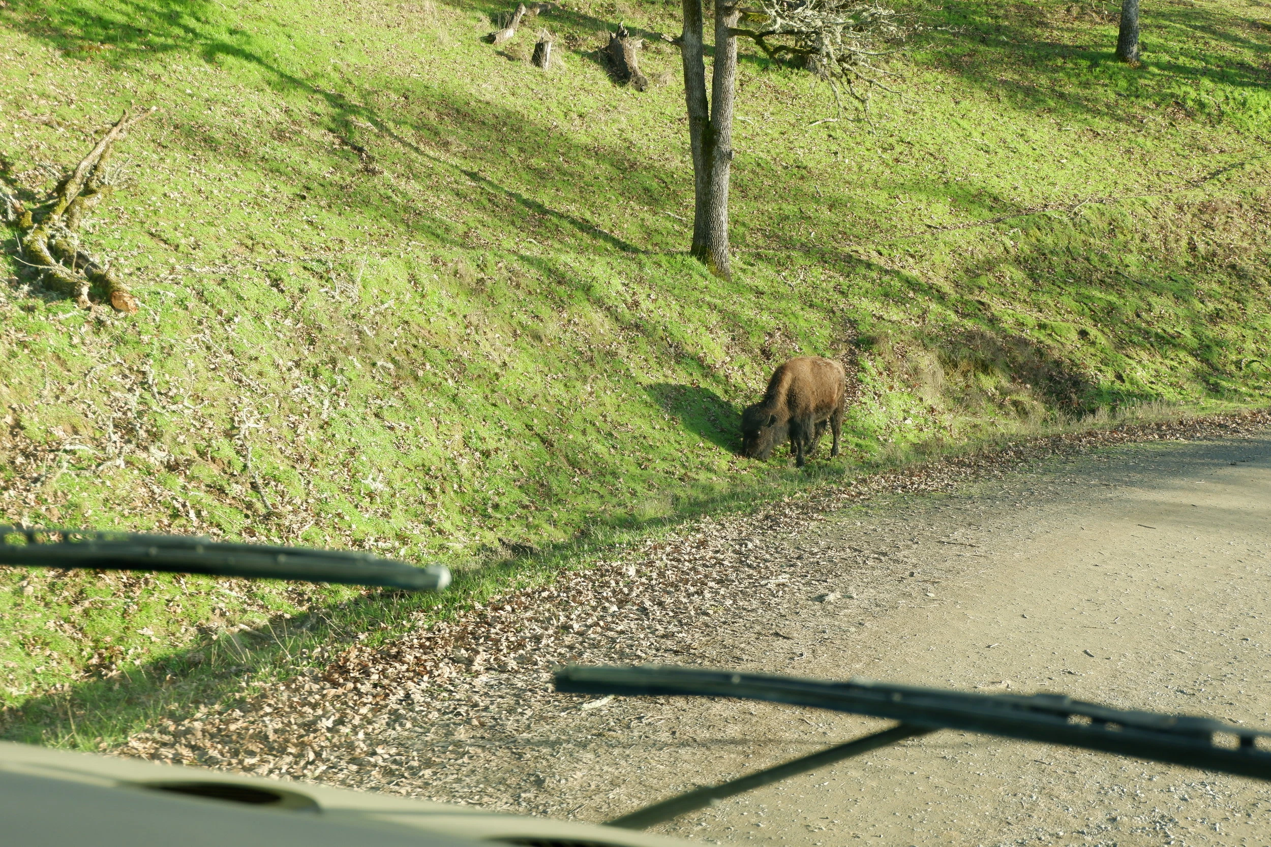 things to do in oregon