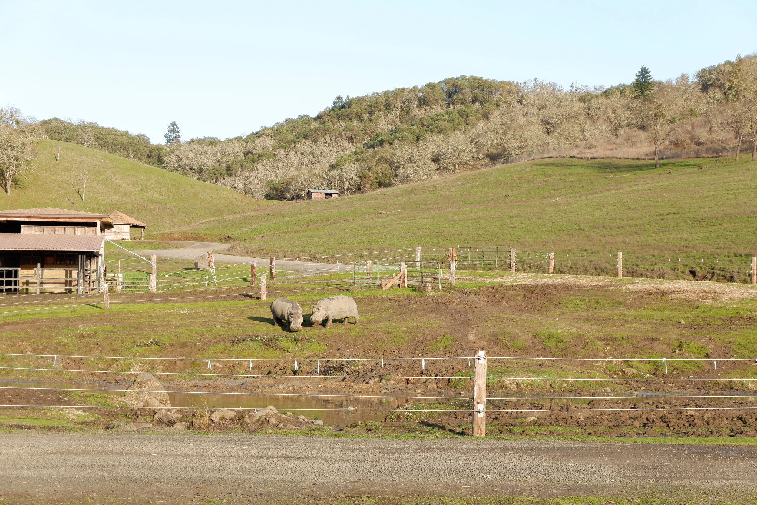oregon state road trip