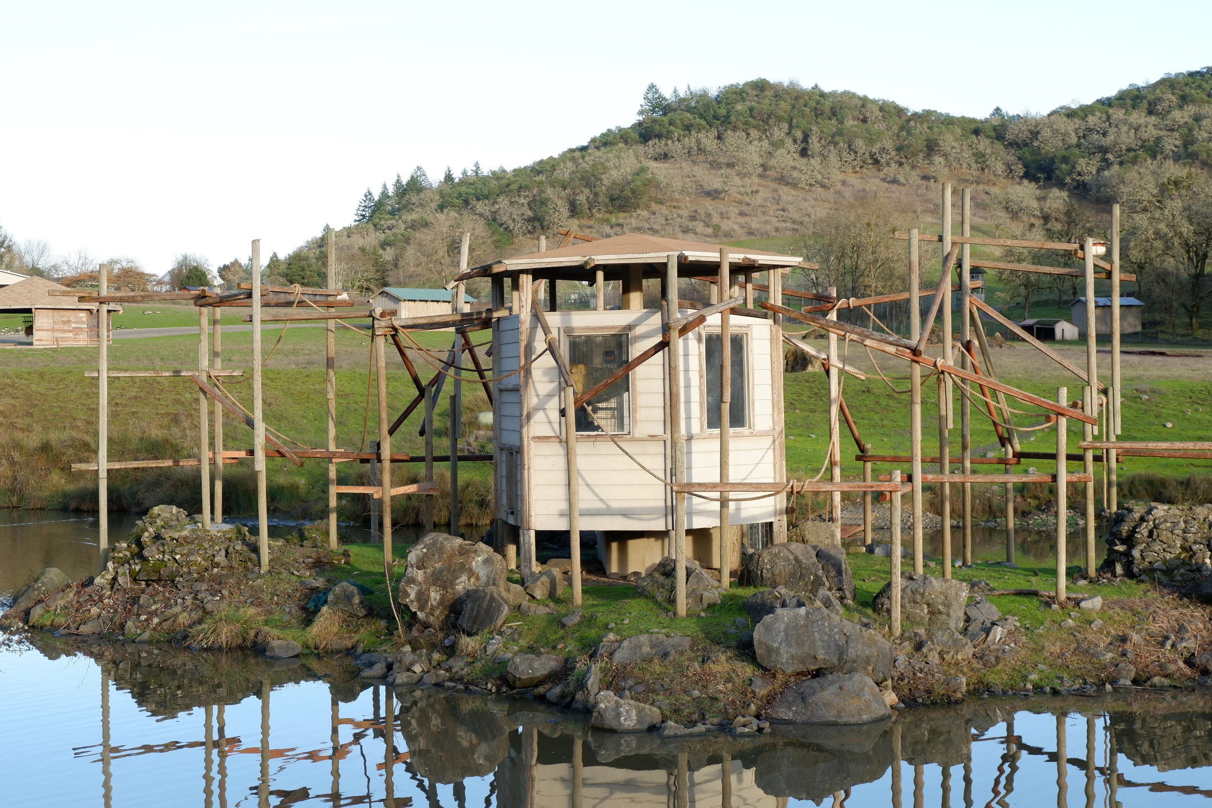 visit oregon wildlife safari