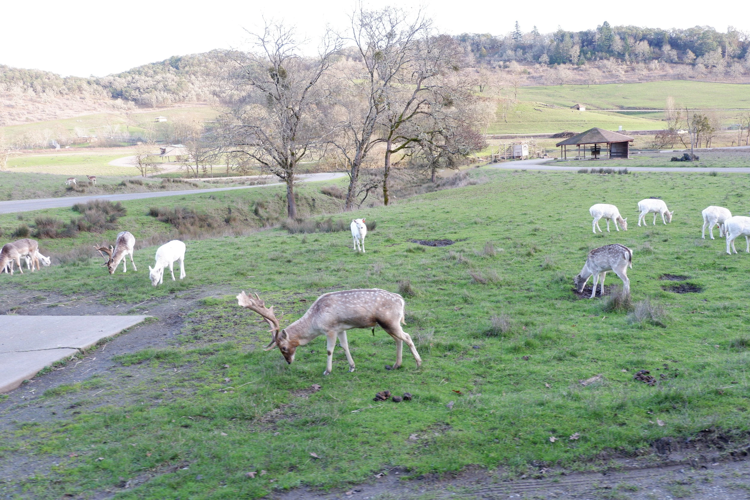 oregon state road trip