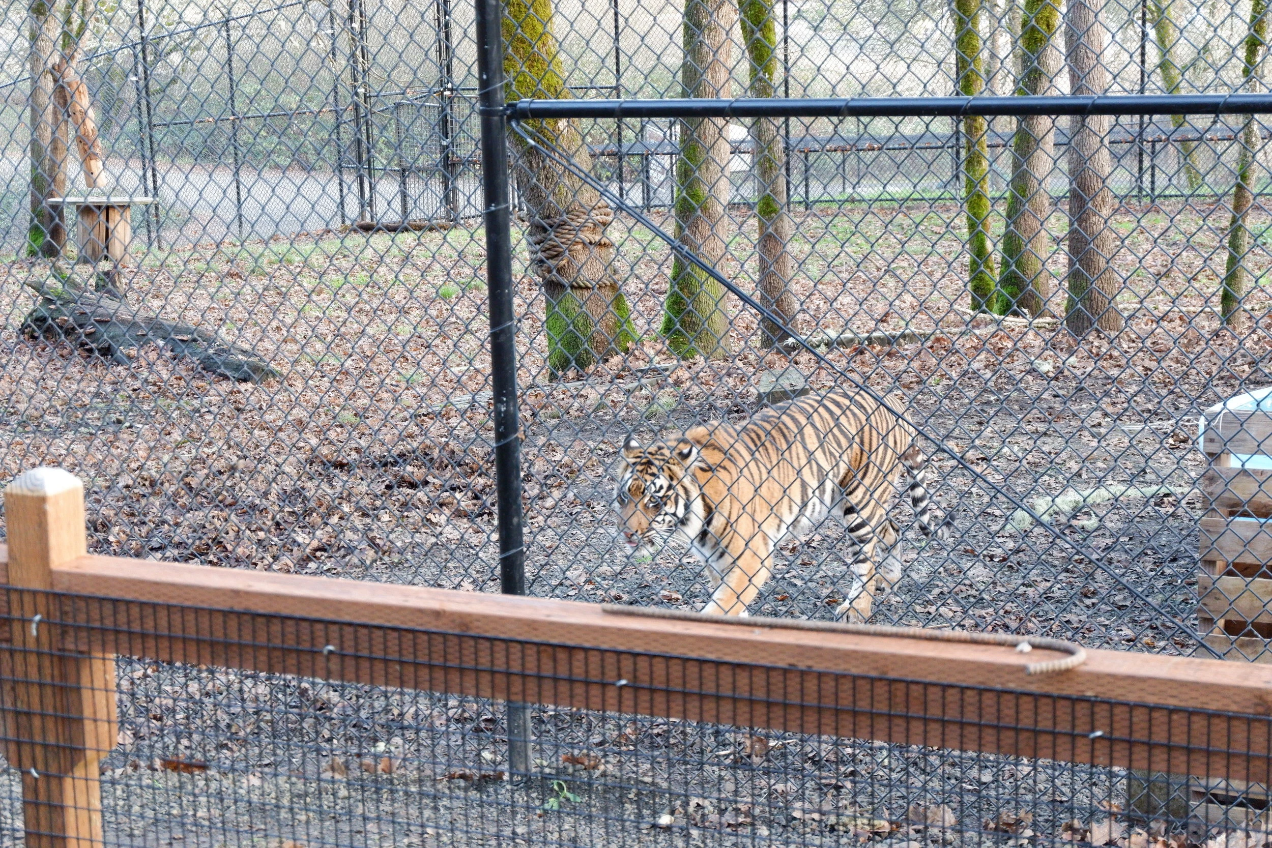 things to do in oregon