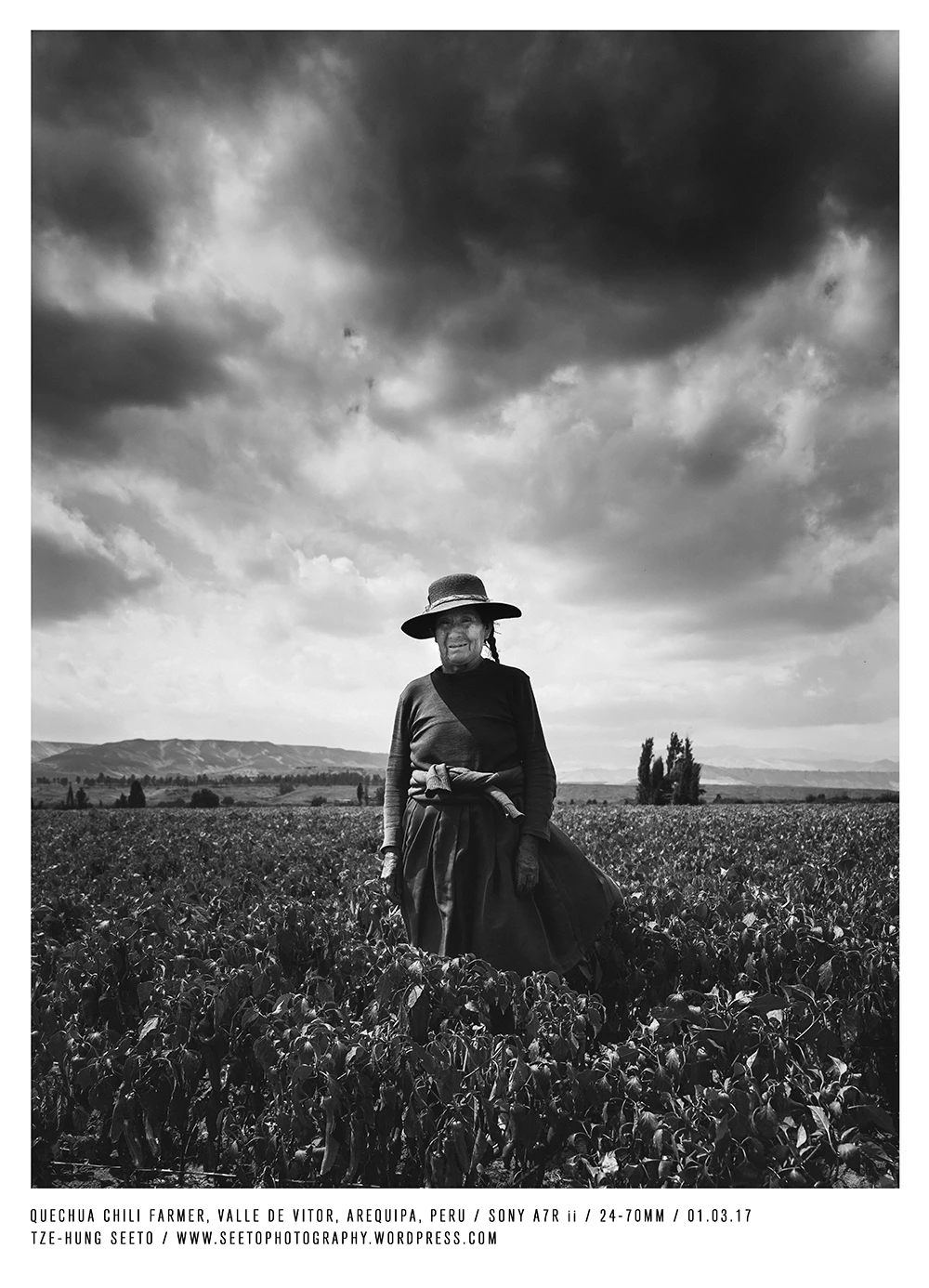 Peru, Valle de Vitor, Quechua Chili Farmer_CP.jpg
