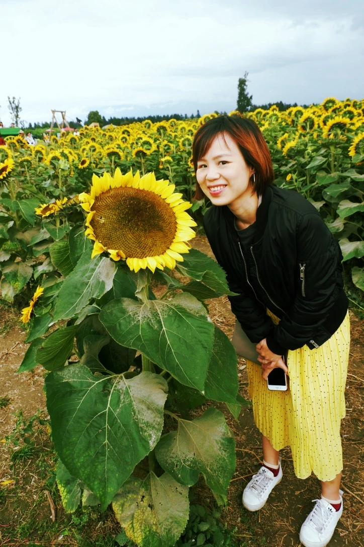 chilliwack sunflower festival review