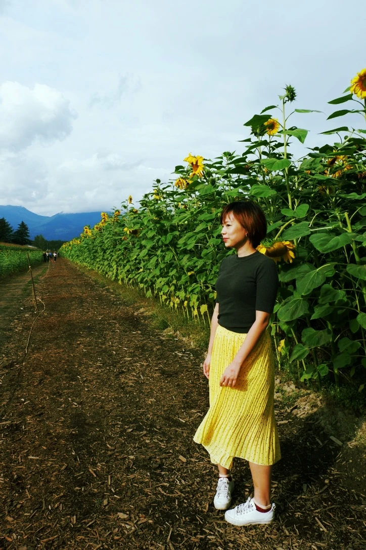 chilliwack sunflower festival