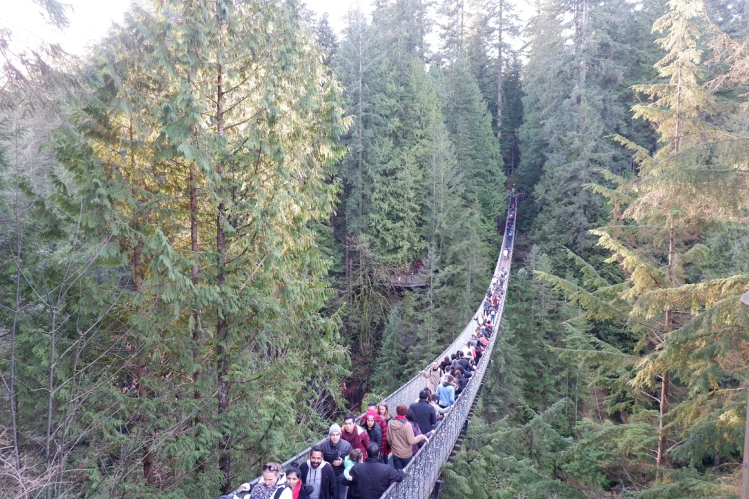 capilano suspension bridge vancouver