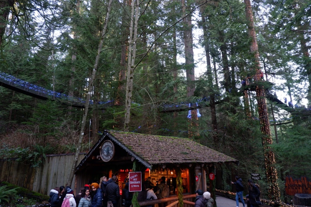capilano suspension bridge vancouver