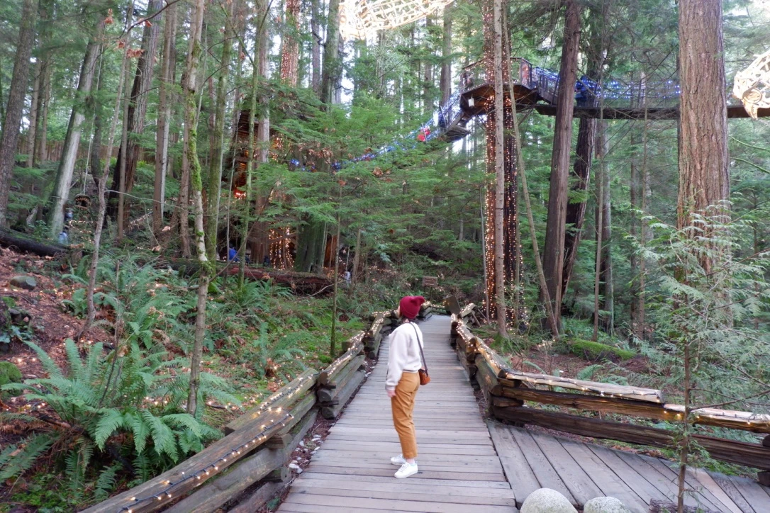 capilano suspension bridge vancouver