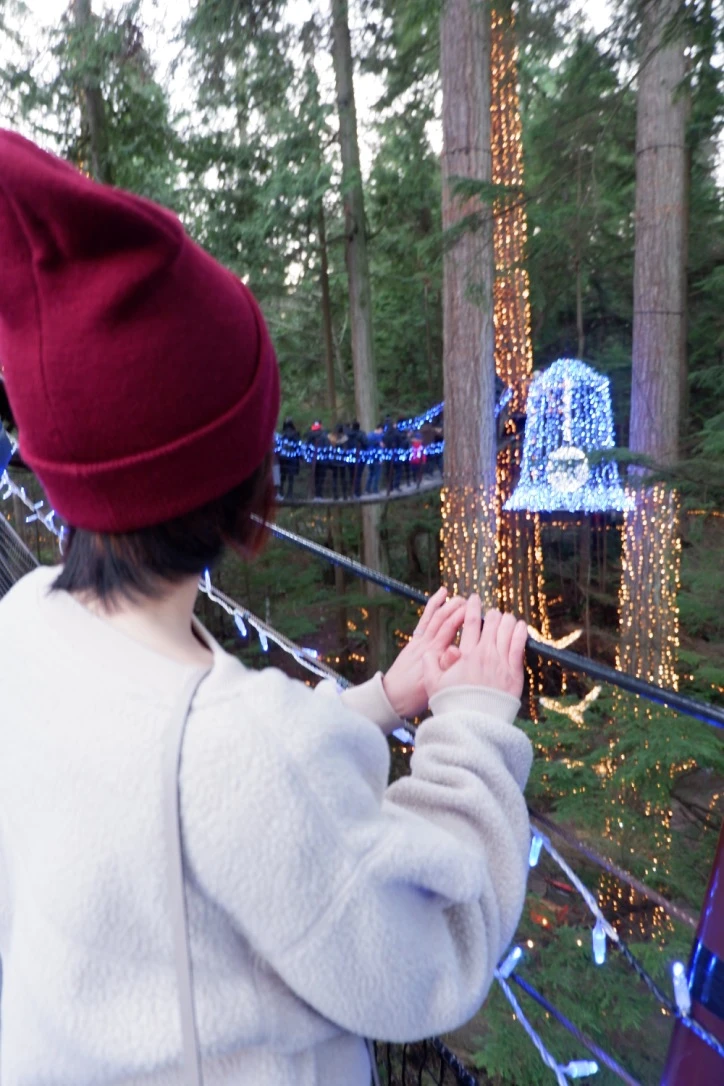 canyon lights capilano suspension bridge park