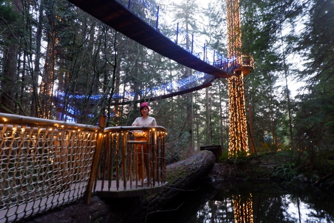 capilano suspension bridge review