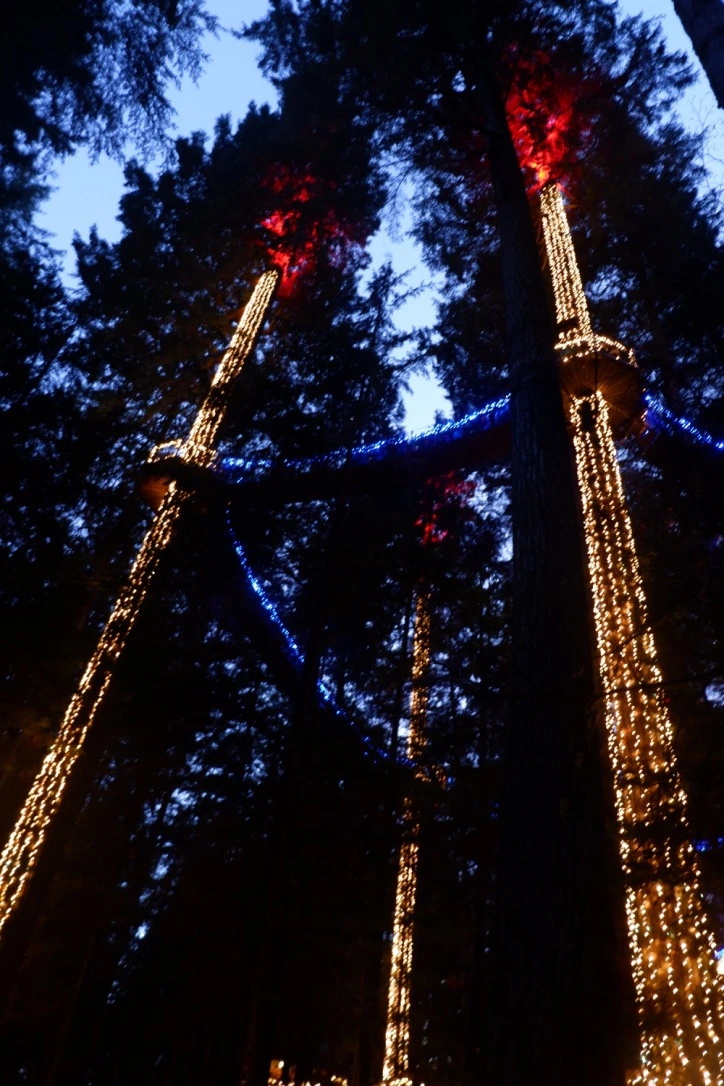 canyon lights capilano