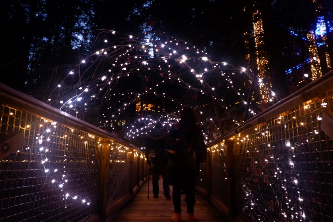 canyon lights capilano