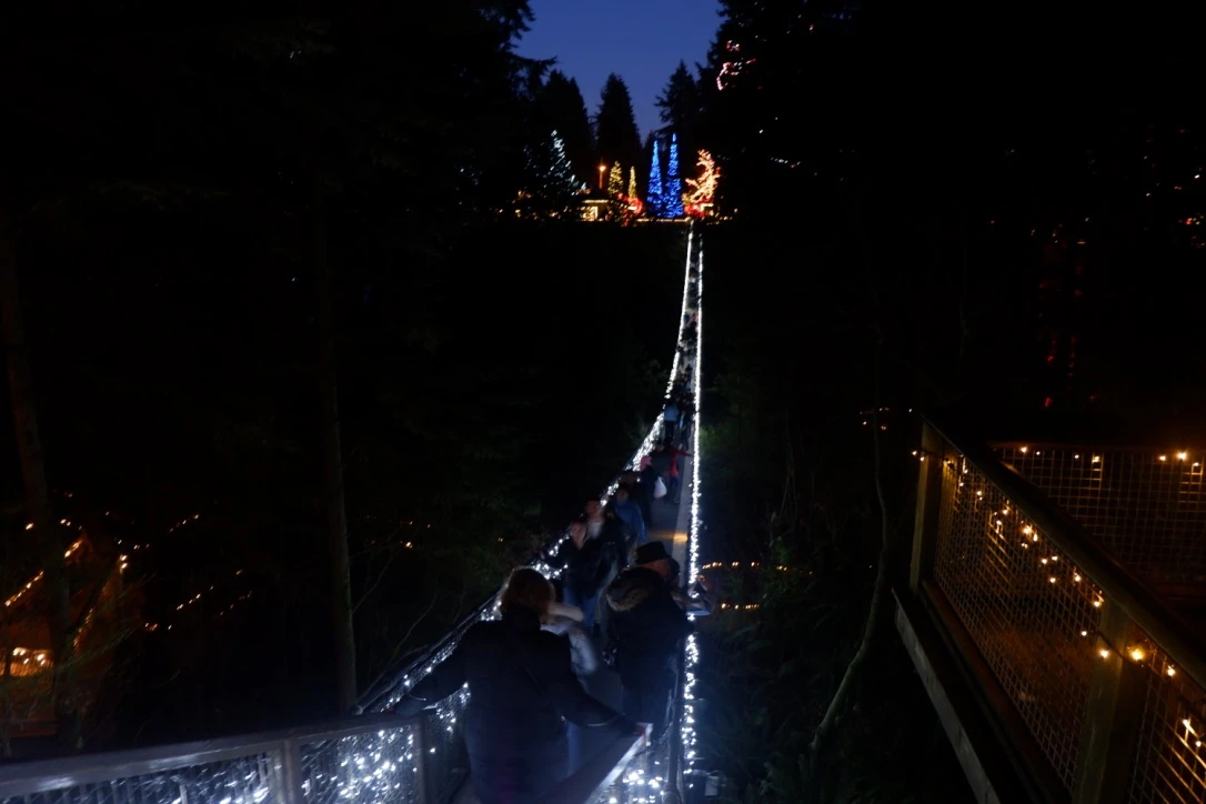 capilano suspension bridge review