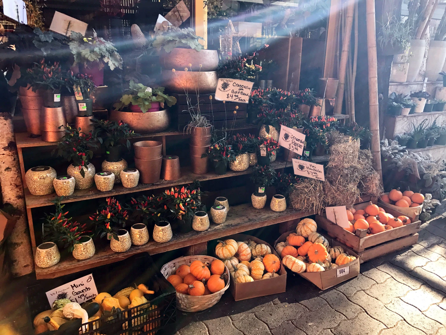 things to do in granville island vancouver 