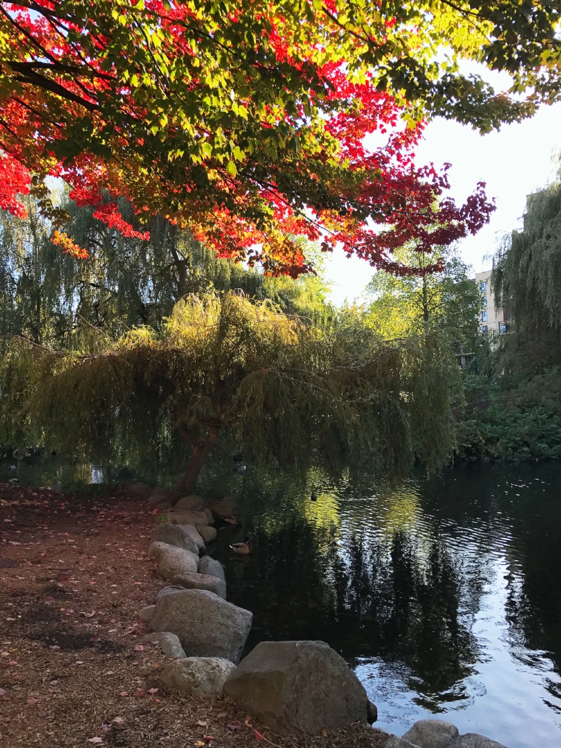 explore granville island vancouver canada
