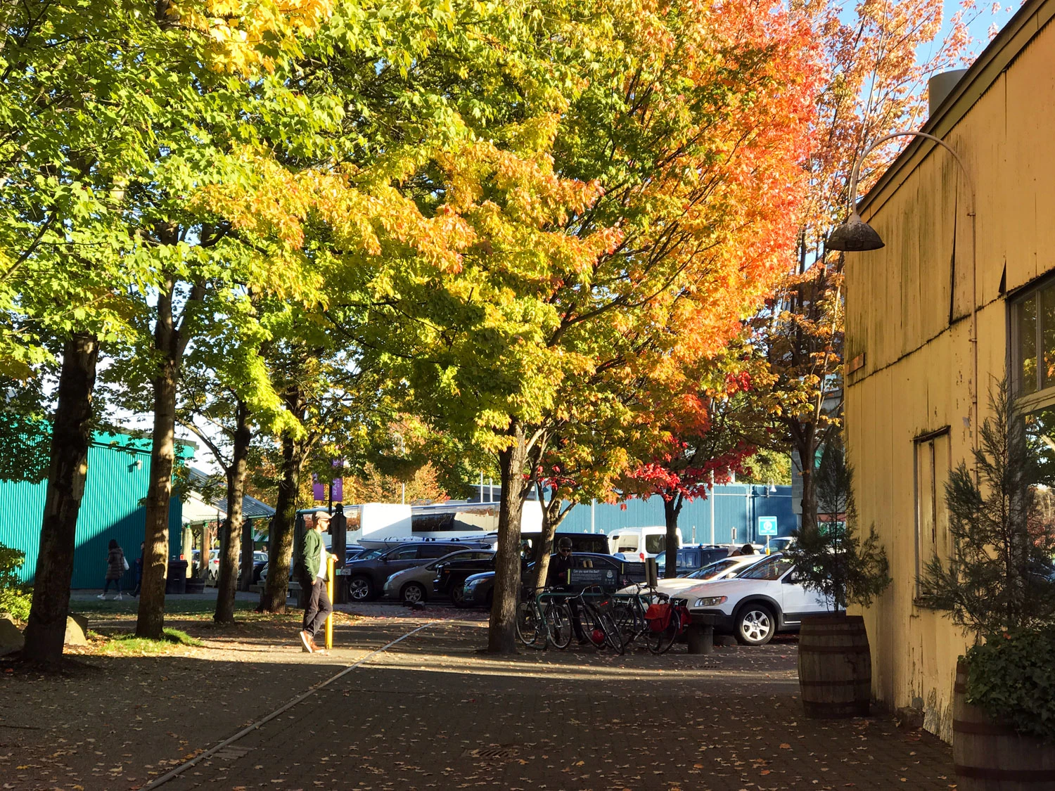 granville island vancouver review