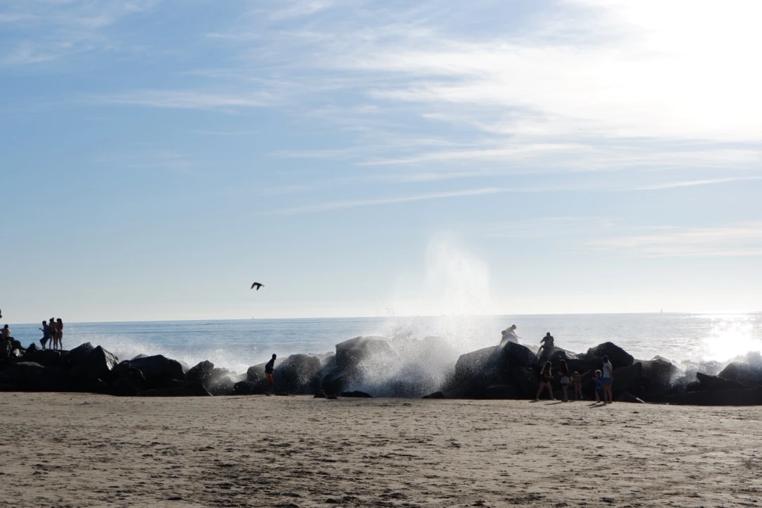 venice beach los angeles